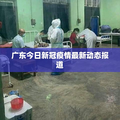 廣東今日新冠疫情最新動(dòng)態(tài)報(bào)道