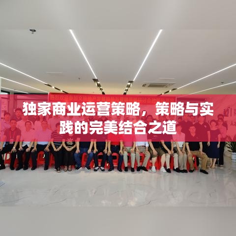獨(dú)家商業(yè)運(yùn)營(yíng)策略，策略與實(shí)踐的完美結(jié)合之道
