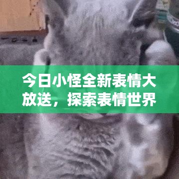 今日小怪全新表情大放送，探索表情世界的無限魅力！