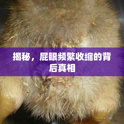 揭秘，屁眼頻繁收縮的背后真相