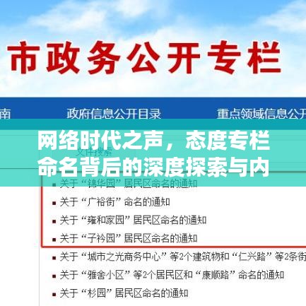 網(wǎng)絡(luò)時代之聲，態(tài)度專欄命名背后的深度探索與內(nèi)涵解析