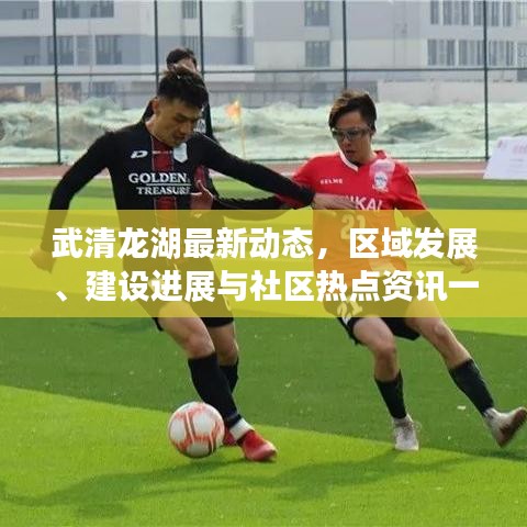 武清龍湖最新動態(tài)，區(qū)域發(fā)展、建設(shè)進展與社區(qū)熱點資訊一網(wǎng)打盡