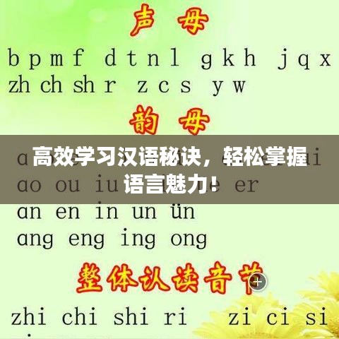 高效學(xué)習(xí)漢語秘訣，輕松掌握語言魅力！