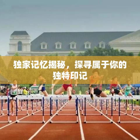 獨(dú)家記憶揭秘，探尋屬于你的獨(dú)特印記
