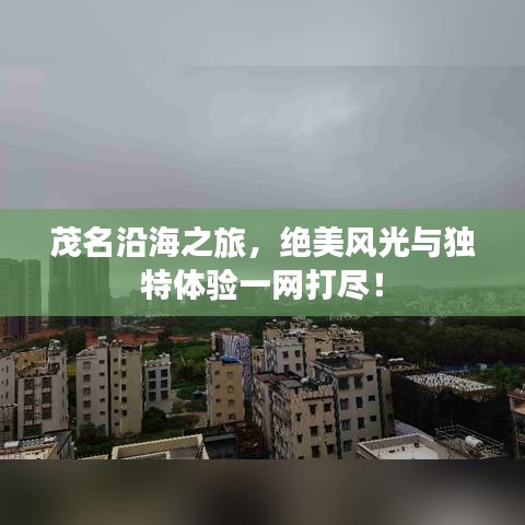 茂名沿海之旅，絕美風光與獨特體驗一網(wǎng)打盡！