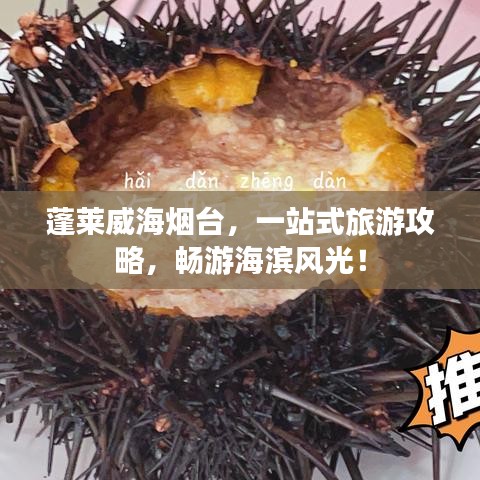 間不容發(fā) 第3頁