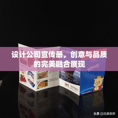 設計公司宣傳冊，創(chuàng)意與品質的完美融合展現(xiàn)