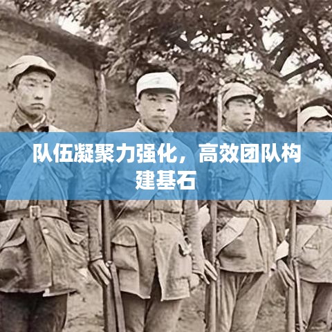 隊伍凝聚力強化，高效團隊構(gòu)建基石