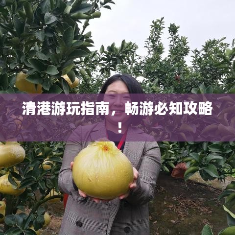 清港游玩指南，暢游必知攻略！