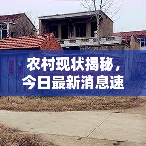 農(nóng)村現(xiàn)狀揭秘，今日最新消息速遞