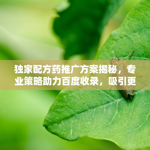 獨家配方藥推廣方案揭秘，專業(yè)策略助力百度收錄，吸引更多目光！