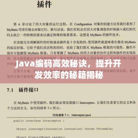 Java編碼高效秘訣，提升開(kāi)發(fā)效率的秘籍揭秘