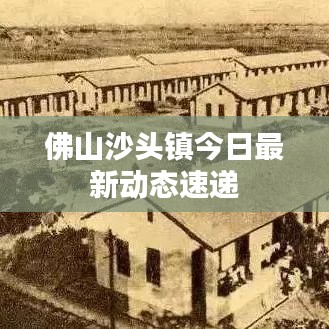 佛山沙頭鎮(zhèn)今日最新動(dòng)態(tài)速遞