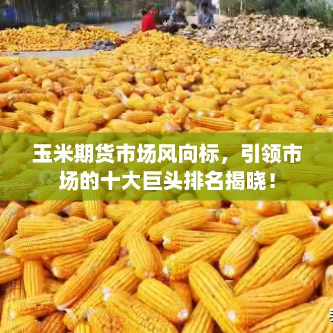 玉米期貨市場(chǎng)風(fēng)向標(biāo)，引領(lǐng)市場(chǎng)的十大巨頭排名揭曉！