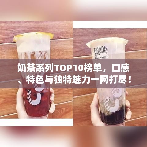 奶茶系列TOP10榜單，口感、特色與獨(dú)特魅力一網(wǎng)打盡！