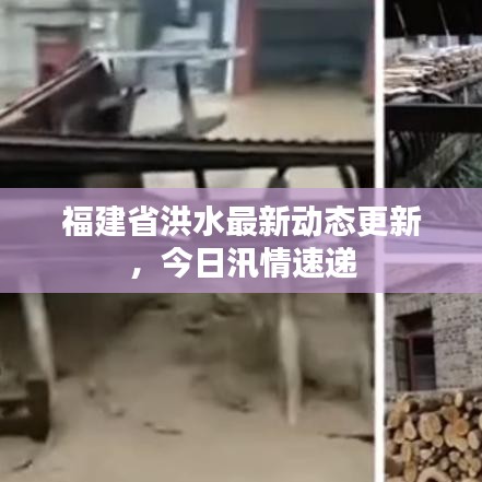 福建省洪水最新動態(tài)更新，今日汛情速遞