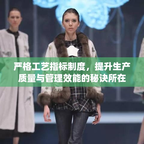 嚴(yán)格工藝指標(biāo)制度，提升生產(chǎn)質(zhì)量與管理效能的秘訣所在