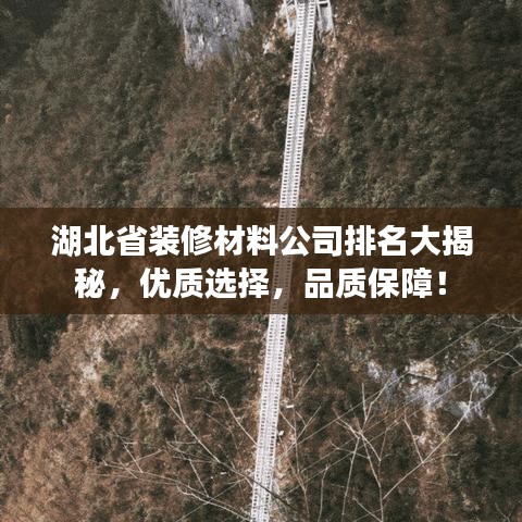 湖北省裝修材料公司排名大揭秘，優(yōu)質選擇，品質保障！