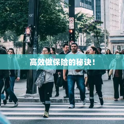 鳶飛魚(yú)躍 第3頁(yè)