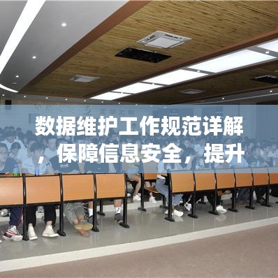 數(shù)據(jù)維護(hù)工作規(guī)范詳解，保障信息安全，提升操作效率