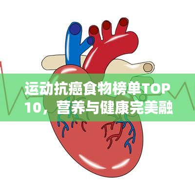 運(yùn)動(dòng)抗癌食物榜單TOP10，營(yíng)養(yǎng)與健康完美融合，助你遠(yuǎn)離癌癥威脅