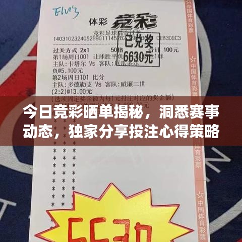 今日競(jìng)彩曬單揭秘，洞悉賽事動(dòng)態(tài)，獨(dú)家分享投注心得策略