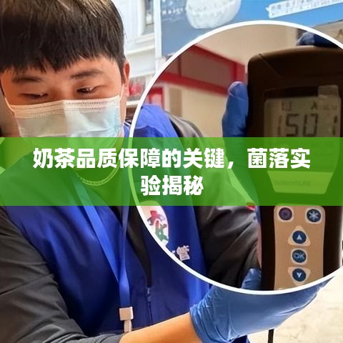 奶茶品質(zhì)保障的關(guān)鍵，菌落實(shí)驗(yàn)揭秘