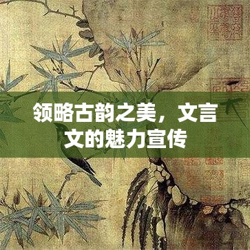 領(lǐng)略古韻之美，文言文的魅力宣傳