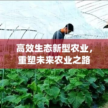 高效生態(tài)新型農(nóng)業(yè)，重塑未來農(nóng)業(yè)之路