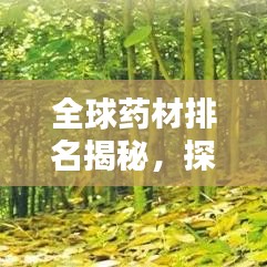 全球藥材排名揭秘，探究藥材的重要性