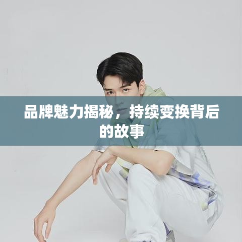 品牌魅力揭秘，持續(xù)變換背后的故事