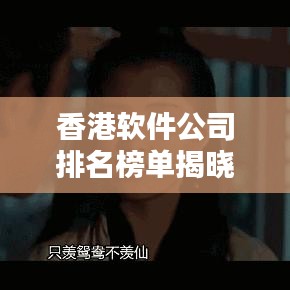 香港軟件公司排名榜單揭曉！最新排名一網(wǎng)打盡