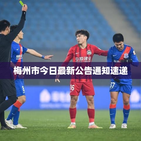 梅州市今日最新公告通知速遞