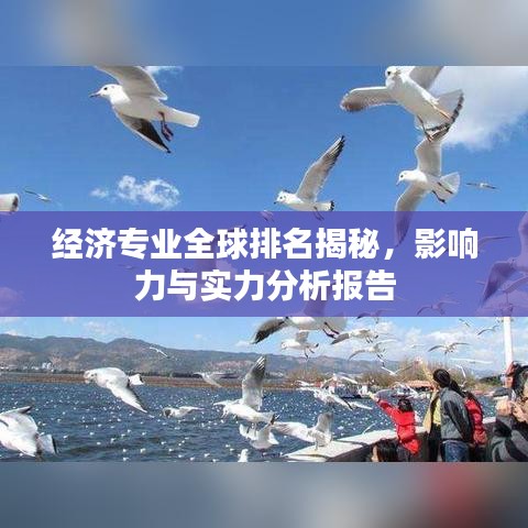 經(jīng)濟(jì)專業(yè)全球排名揭秘，影響力與實(shí)力分析報(bào)告
