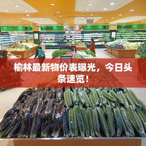 榆林最新物價表曝光，今日頭條速覽！