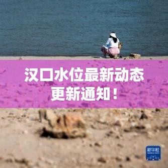 漢口水位最新動(dòng)態(tài)更新通知！