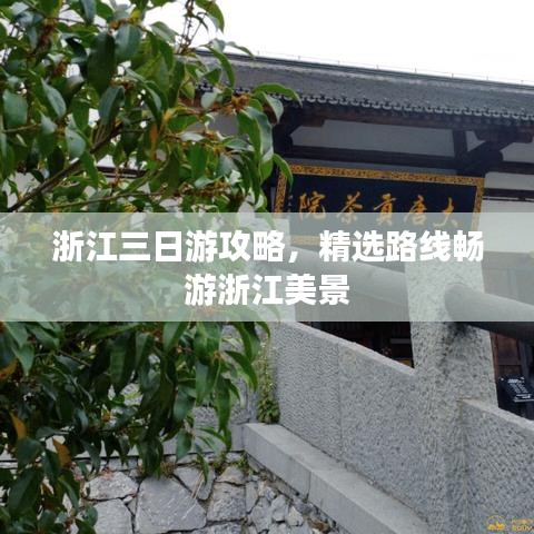 嬌小玲瓏 第3頁