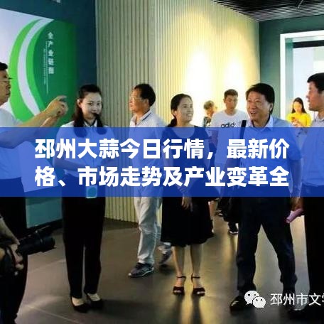 邳州大蒜今日行情，最新價(jià)格、市場(chǎng)走勢(shì)及產(chǎn)業(yè)變革全解析
