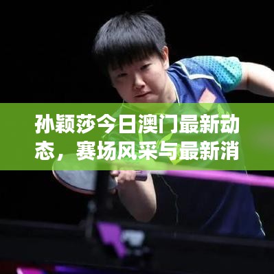 孫穎莎今日澳門最新動態(tài)，賽場風(fēng)采與最新消息速遞