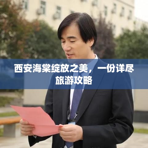 西安海棠綻放之美，一份詳盡旅游攻略