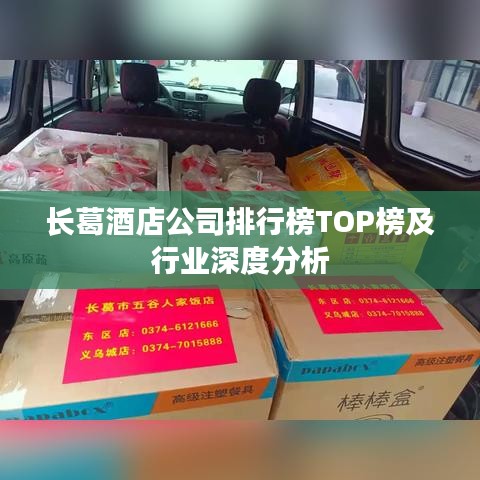 長葛酒店公司排行榜TOP榜及行業(yè)深度分析