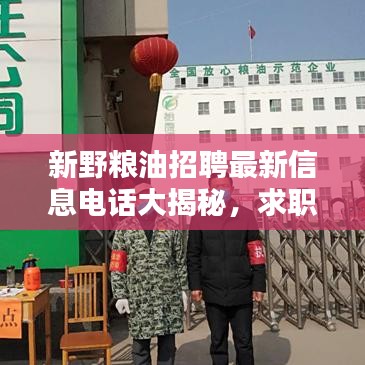 新野糧油招聘最新信息電話大揭秘，求職者福音，優(yōu)質(zhì)職位等你來(lái)挑！