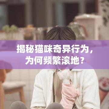 揭秘貓咪奇異行為，為何頻繁滾地？