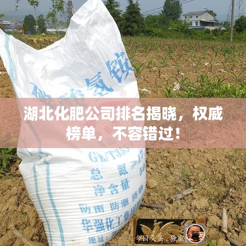 湖北化肥公司排名揭曉，權威榜單，不容錯過！