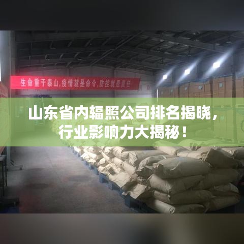 山東省內(nèi)輻照公司排名揭曉，行業(yè)影響力大揭秘！