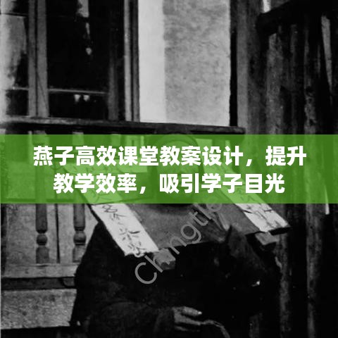 燕子高效課堂教案設(shè)計，提升教學(xué)效率，吸引學(xué)子目光