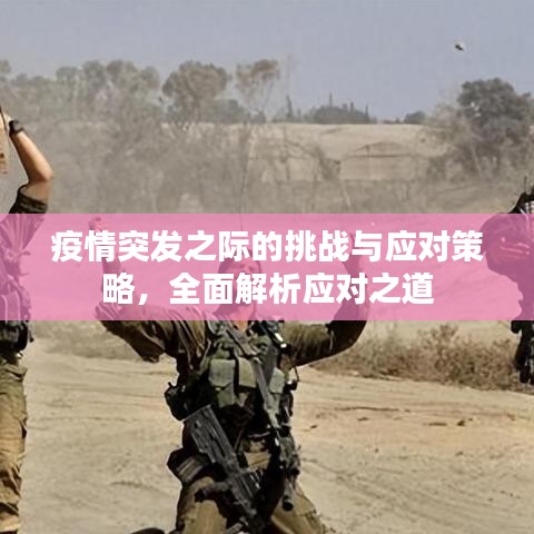 疫情突發(fā)之際的挑戰(zhàn)與應(yīng)對(duì)策略，全面解析應(yīng)對(duì)之道