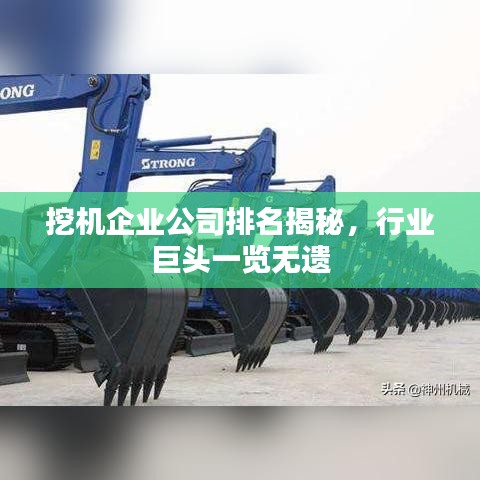 挖機(jī)企業(yè)公司排名揭秘，行業(yè)巨頭一覽無(wú)遺