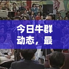 今日牛群動(dòng)態(tài)，最新消息視頻匯總