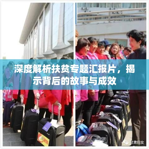 深度解析扶貧專題匯報(bào)片，揭示背后的故事與成效
